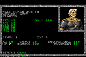 Pool of Radiance 6